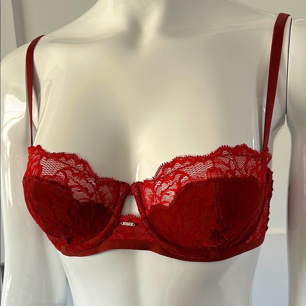 Triumph Velvet & Lace Bra